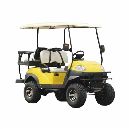 3000W Electric Golf laub Scooter
